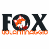 VOLANTINAGGIO BRESCIA - FOX VOLANTINAGGIO BRESCIA