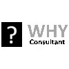 WHY CONSULTANT