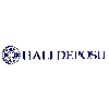 HALIDEPOSU.COM - ONLINE HALI PAZARI