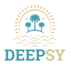 DEEPSY MANUFACTURING UNITED