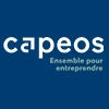 CAPEOS CONSEILS