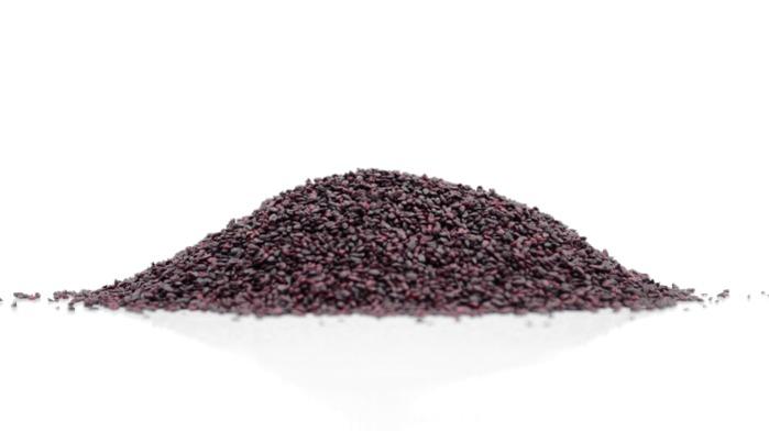 Semințe de coacăze negre