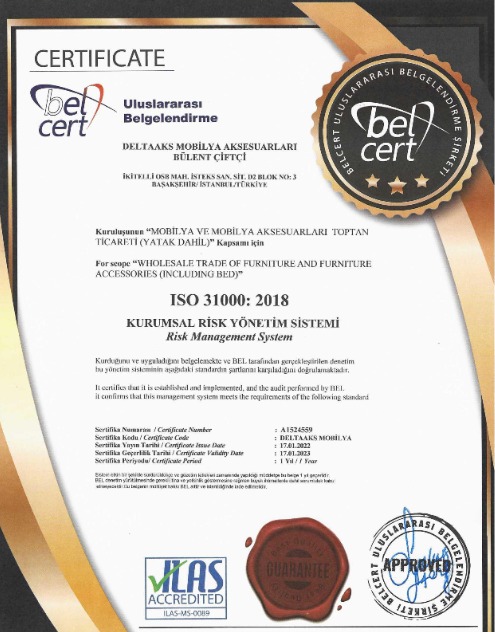 İSO 31000 certificate