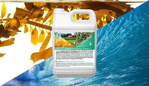 Extract de alge marine micronizate - Stimulator de creștere